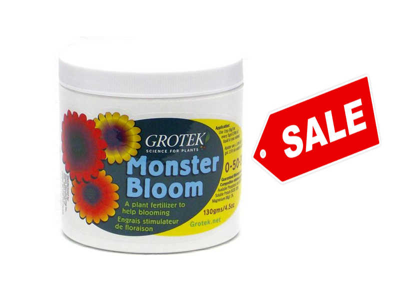 NouOU-OinU-NnoaI5-iUn10-MONSTER-BLOOM